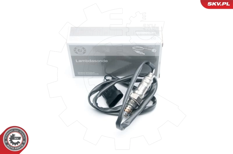 Oxygen Sensor